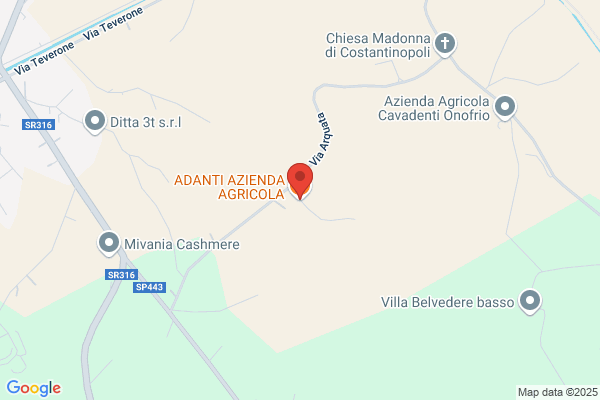 Adanti F.Lli  S.N.C.