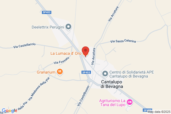 Asd L'Amo D'Oro