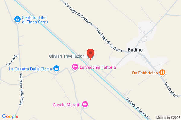 Olivieri Trivellazioni