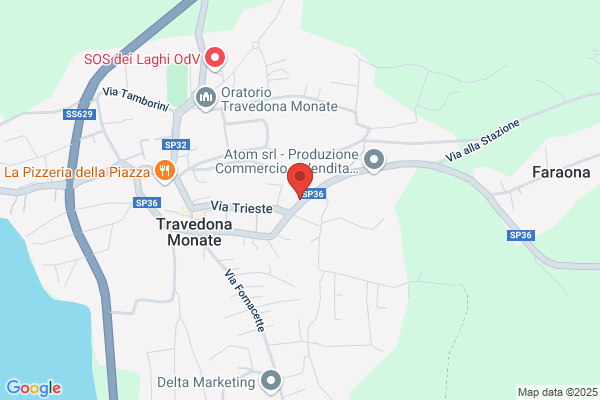 Malvestio tiziano
