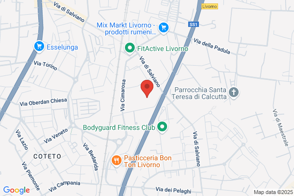 Garage Roma Service Di Grechi Roberto