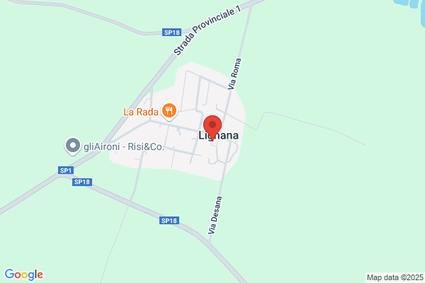 Municipio