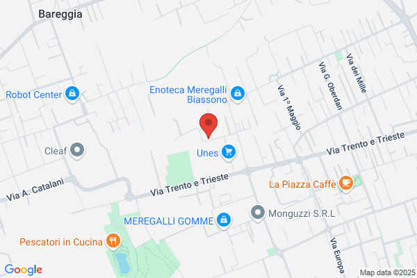 Magni ferruccio (Rag.)