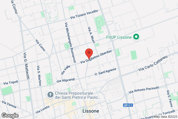 Maconi F.Lli Di Maconi Guido E C. (S.N.C.)