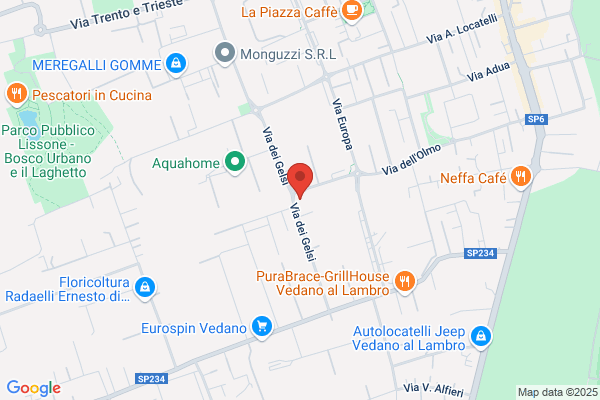 Geo Italia Service Srl