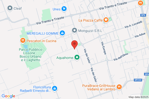 Paget Srl