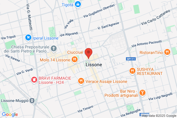 Agenzia Funebre La Lissonese - Rizzi - Onoranze Pompe Funebri