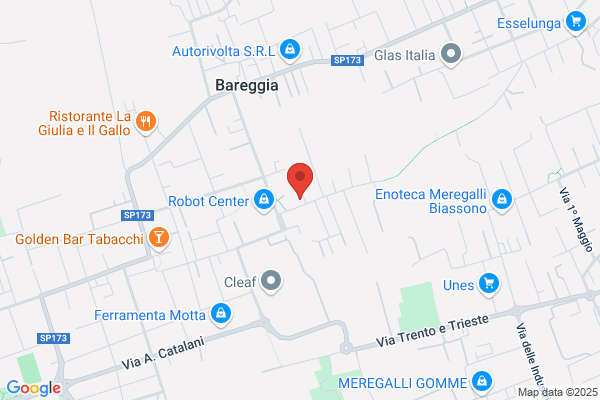C.A.M. Costruzioni Aeromeccaniche Milanesi