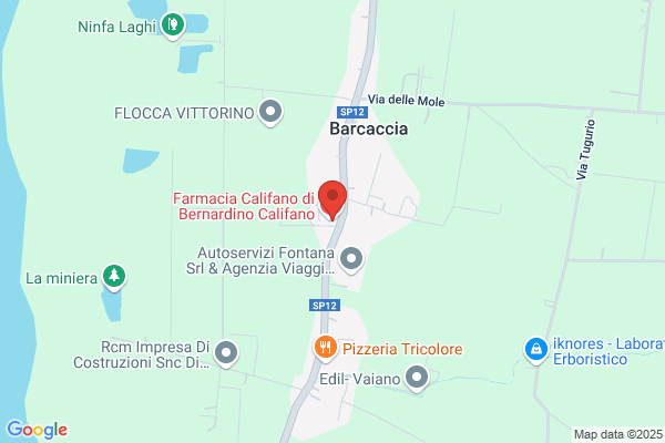 Panificio Non Solo Pane Di Bertolini Lorella & c. Sas.