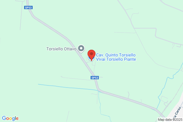 Vivaio Piante Torsiello Cav. Quinto di Torsiello Carmen