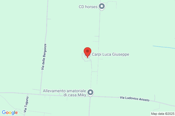 Ricco giuseppe