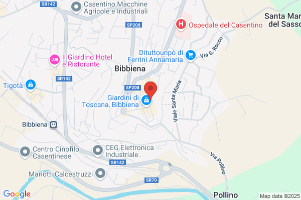 Suore Figlie Di S.Francesco Di Sales