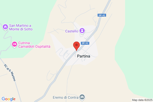 Immagine Donna (S.N.C.)