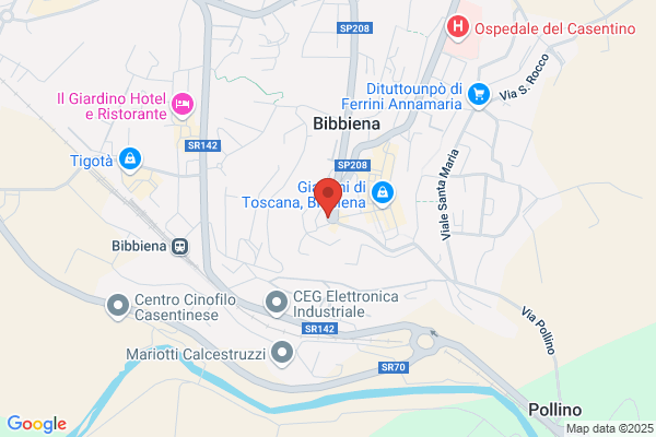 Pizzeria Pischedda dino