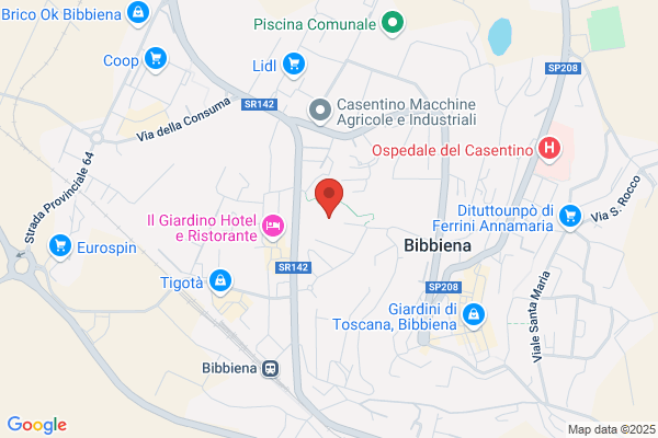 Scatizzi arianna
