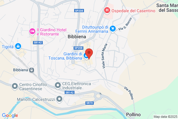 Comune Di Bibbiena