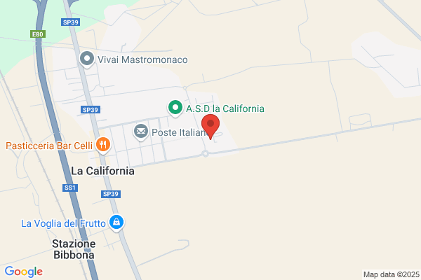 Petrone domenico