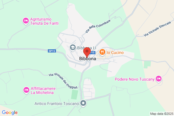 Ricci aldo