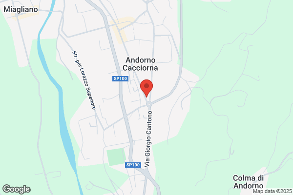 Autofficina Landoni Enrico