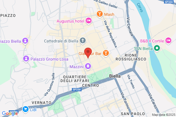 Serenissima Viaggi S.R.L.