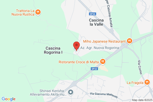Nuova Blu Di Gallina Rosalda