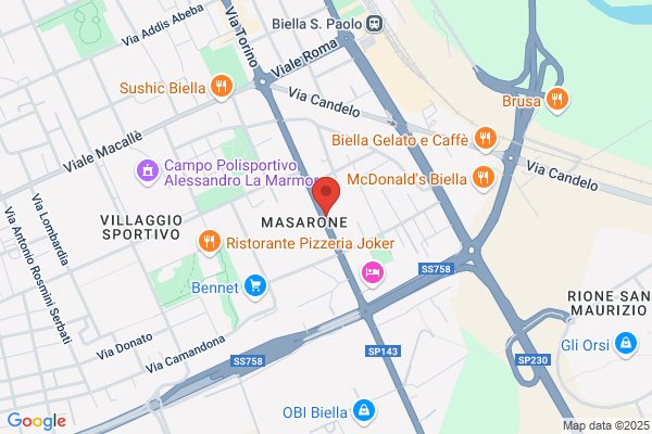 Macco roberto (Rag.)