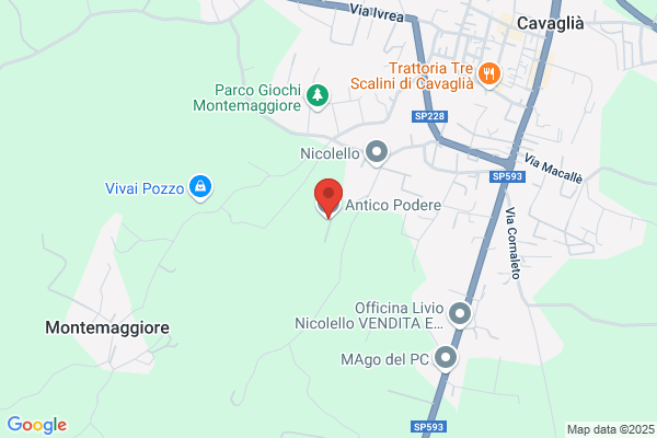 Antico Podere Srl