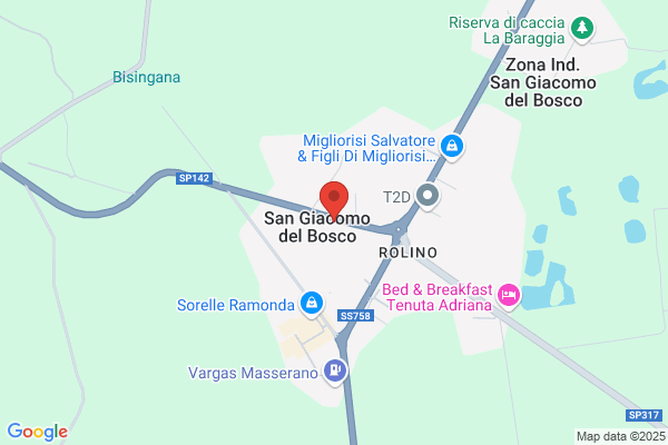 Spaggiari silvana