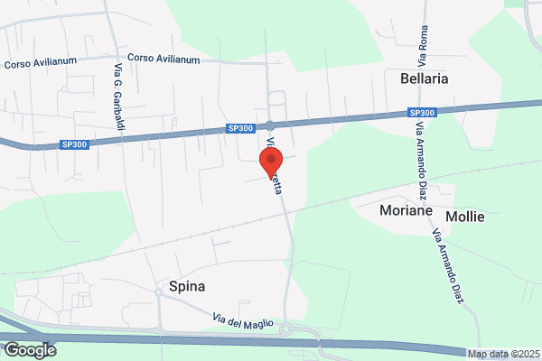 Lanificio Tg Di Fabio Srl