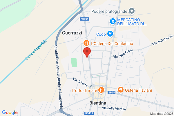 I Fiori Di Cati Di Orlandi Catiuscia
