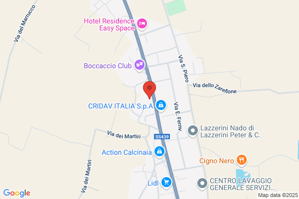F.Lli Pacini (S.R.L.)