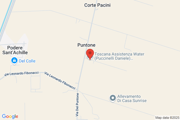 Puccinelli daniele