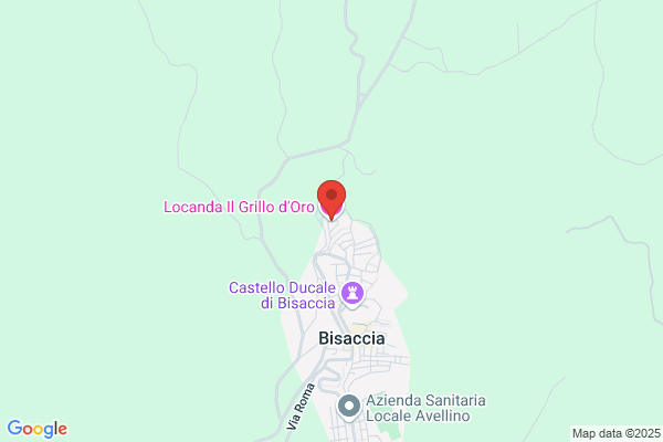 Ristorante Il Grillo Doro Di Arminio Luigi e figli luigi