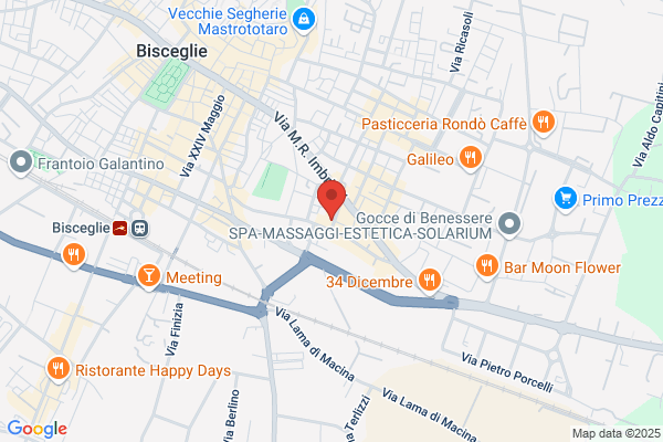 Magno donato (Dr.)