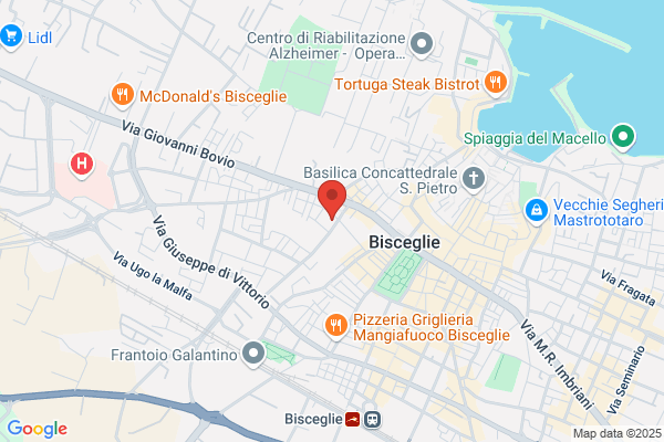 Municipio
