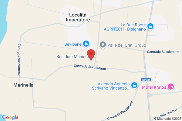 Besidiae Manici Snc