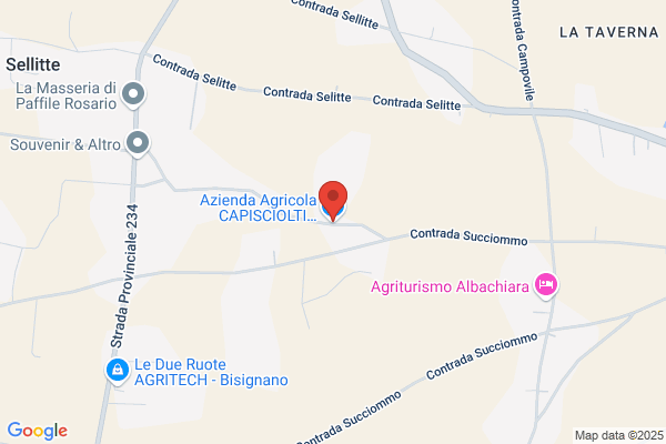 Gustopic Srl