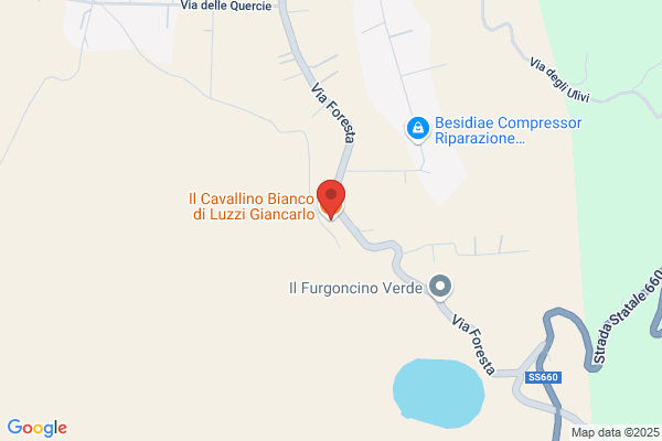 Luzzi giancarlo