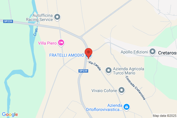 Polizzo massimo