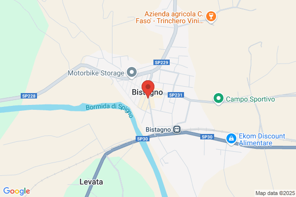 Igiea Service Sas