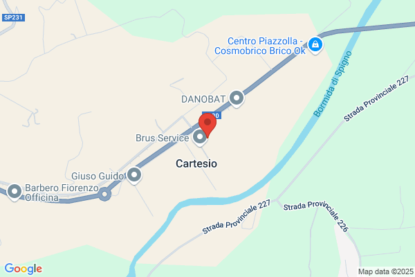 Xilografia Di Cartesio Srl