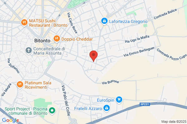 Rizzi francesco