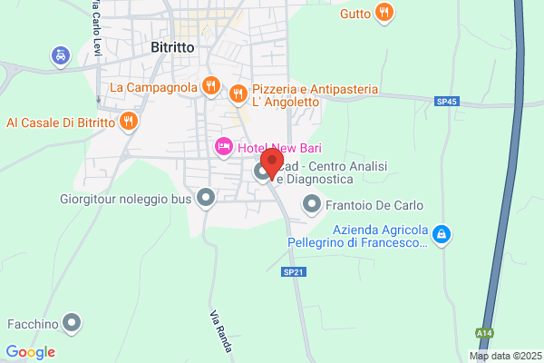 Fiorentino