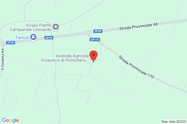 Pichichero Pasquale Vivai