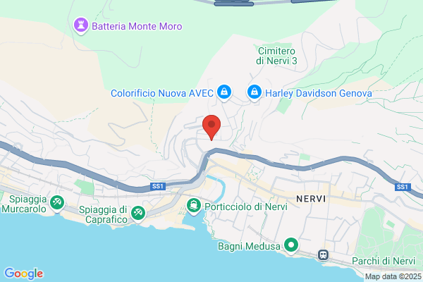 Carrozzeria Nervi