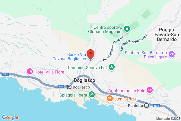Pagani Flavio. Pieroni Carla. Braccio Alessandro. Baldineti salvado/// (R marco