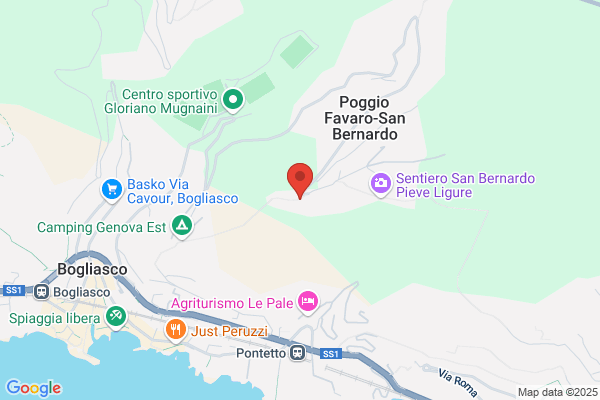 Ristorante Il Tipico
