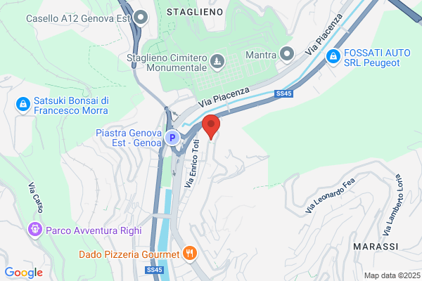 Segno Grafico