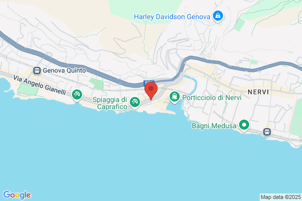 Video Nervi