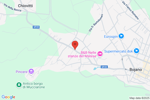 Spina michele